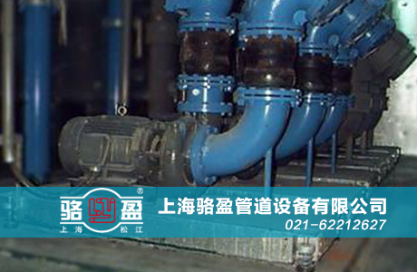 上海駱盈與泰興濱江污水處理廠的合作項目