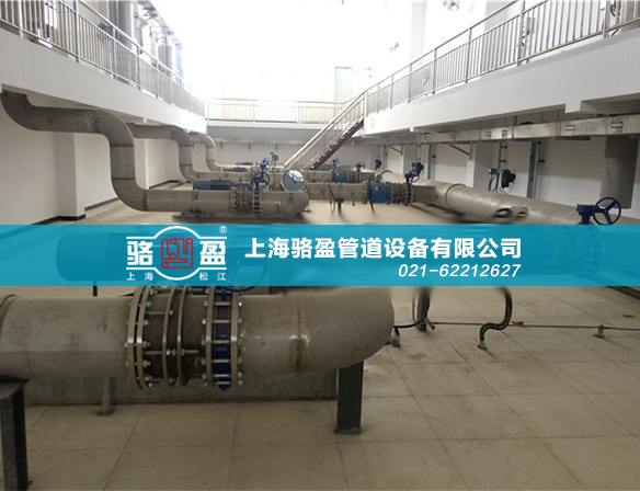 上海駱盈 遼寧丹東市三灣電站項目現場