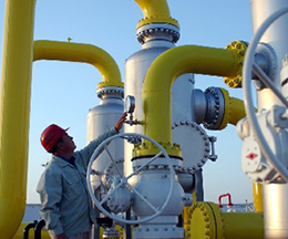 上海駱盈為沙特延步提供橡膠接頭